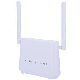 RoutG Cat 6 avec WiFi
