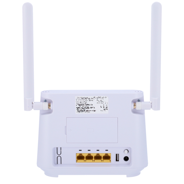 RoutG Cat 6 avec WiFi
