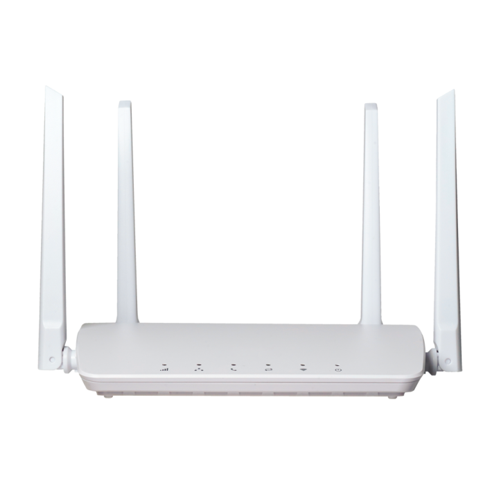 RoutG avec WiFi Catégorie 4
