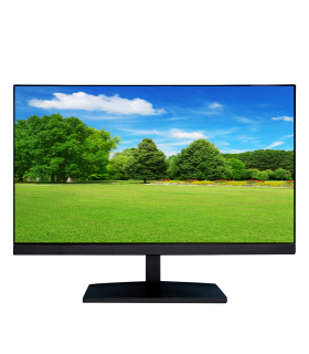 Moniteur 22" PoE
