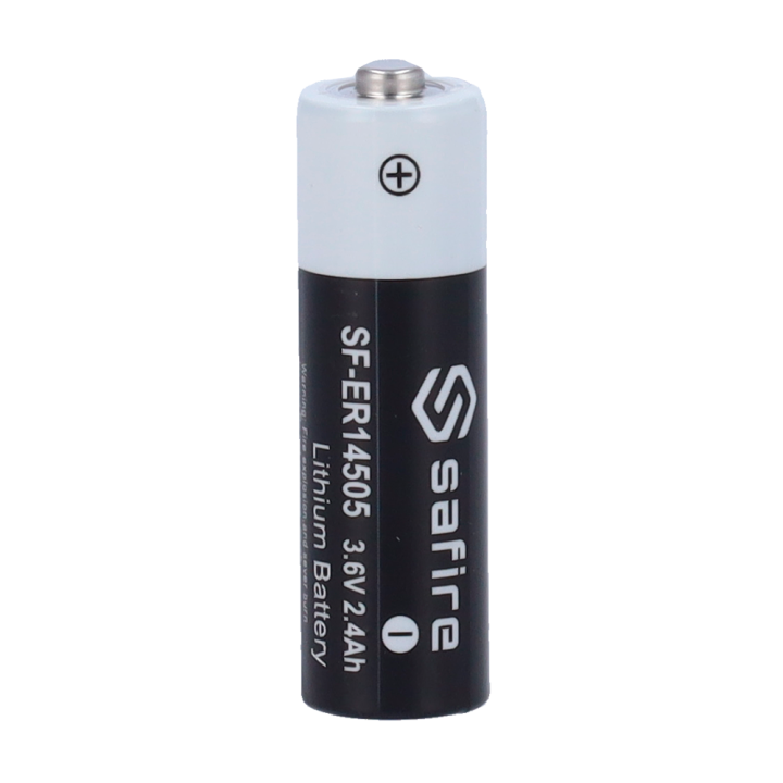 Pile ER14505 (lot de 100 unités)
