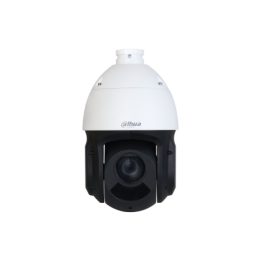 SD49425DB-HNY-GQ-EAU